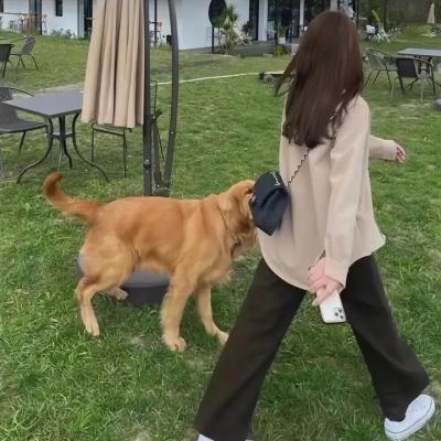 入侵